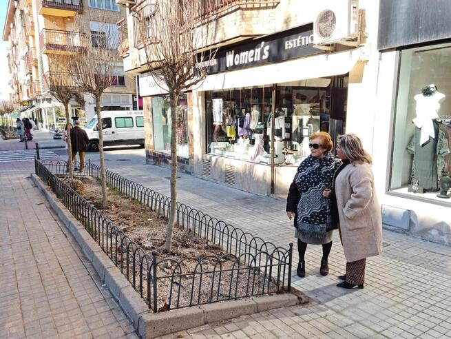 El Plan de Plantaciones de Toledo llega a la calle Méjico en Santa Teresa con la renovación de 27 hibiscus en el paseo peatonal