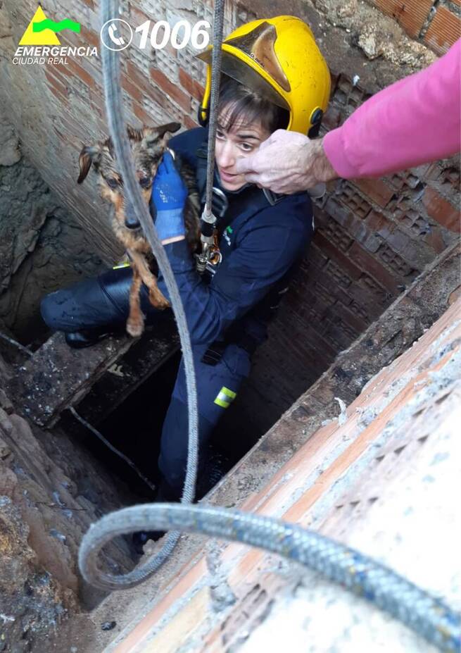 Bomberos de Valdepeñas rescatan a un perro que había caído al interior de un pozo con agua