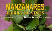 'Manzanares, Tierra de Vinos' regresa del 1 al 4 de diciembre