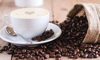 La Cafetera Perfecta: la tienda online que te ofrece las mejores opciones para tu café