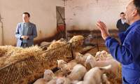 El Gobierno de Castilla-La Mancha resolverá este octubre la última convocatoria de FOCAL con 83 millones para la industria agroalimentaria