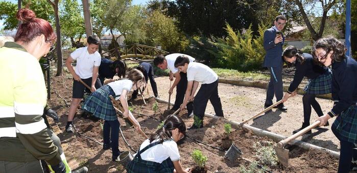 Los colegios de Miguelturra celebran El Dia del Arbol con plantaciones en los parques de la localidad