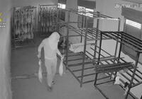 Detenido un hombre por robar jamones ibéricos de un almacén en Polán (Toledo)